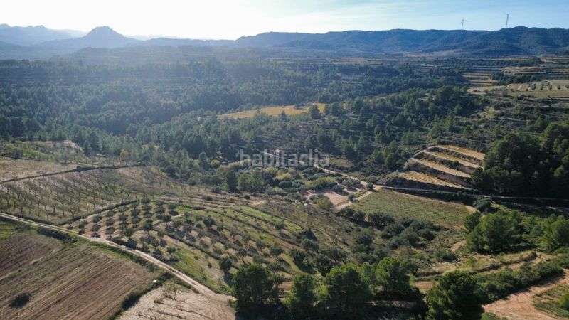 Foto 0403f3e7-a6be-47e4-a633-c689d5b1d539. Terreno residencial en 15 terrenos en venta con 20 hectáreas y viñedos, tarragona en Bot