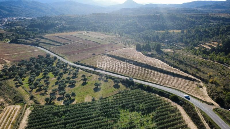 Foto 257d36c1-98f0-440e-9979-cd73512b957a. Terreno residencial en 15 terrenos en venta con 20 hectáreas y viñedos, tarragona en Bot