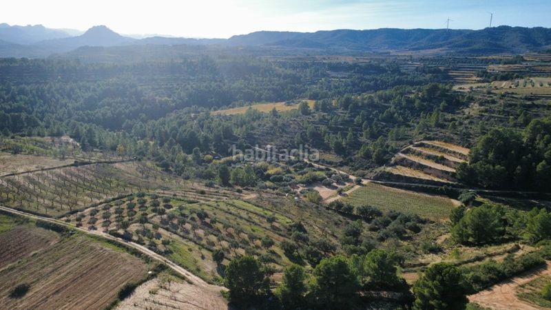 Foto 770dd826-3a0d-4635-8136-16e5299e00f3. Terreno residencial en 15 terrenos en venta con 20 hectáreas y viñedos, tarragona en Bot