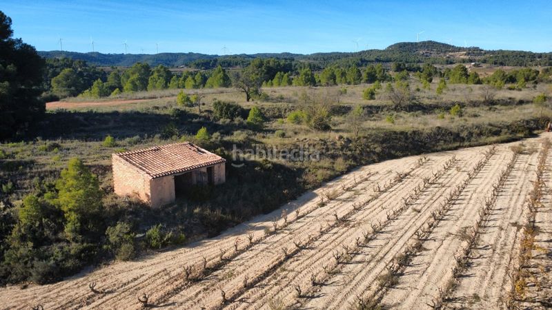 Foto 819527b0-dd5d-45c9-879e-2983abe87b82. Terreno residencial en 15 terrenos en venta con 20 hectáreas y viñedos, tarragona en Bot