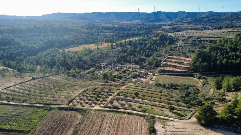 Foto 9bce479c-b381-4828-adc3-d97fb4c03ad7. Terreno residencial en 15 terrenos en venta con 20 hectáreas y viñedos, tarragona en Bot