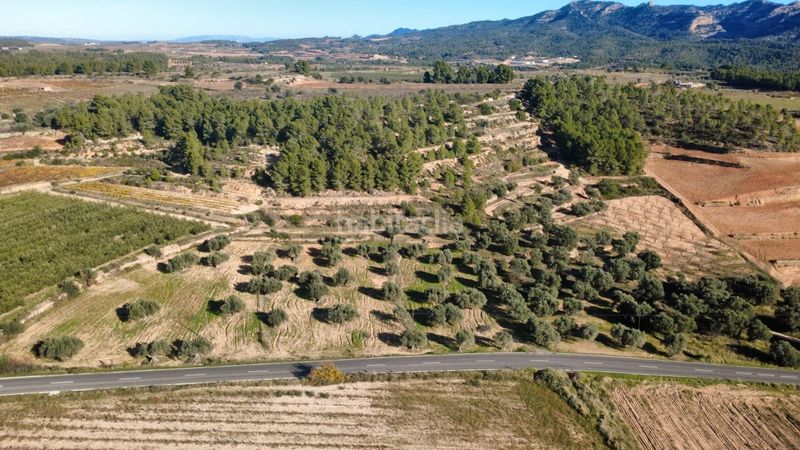 Foto b66db0f4-d7cb-45c3-bf4f-4b214a90dce8. Terreno residencial en 15 terrenos en venta con 20 hectáreas y viñedos, tarragona en Bot