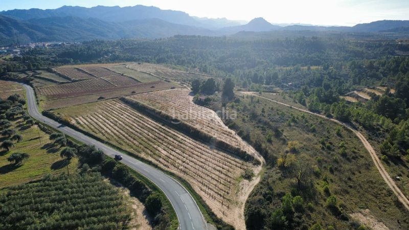 Foto cf6e7acf-4be4-4e0f-9b13-5c3d36f4ce0f. Terreno residencial en 15 terrenos en venta con 20 hectáreas y viñedos, tarragona en Bot