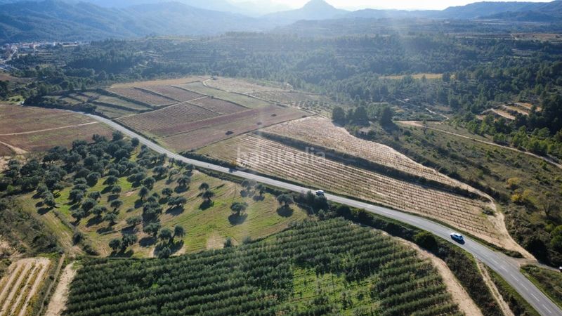 Foto d00b107f-e58b-4a06-aa86-3b1bb664c631. Terreno residencial en 15 terrenos en venta con 20 hectáreas y viñedos, tarragona en Bot