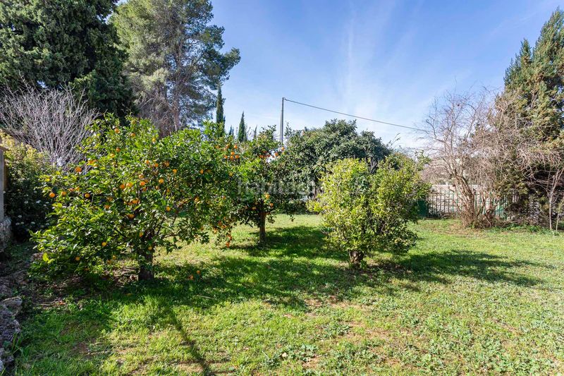 Foto c17ad91d-2d78-473d-a35d-6bcf2f2b0263. Casa amb calefacció aparcament a Godelleta