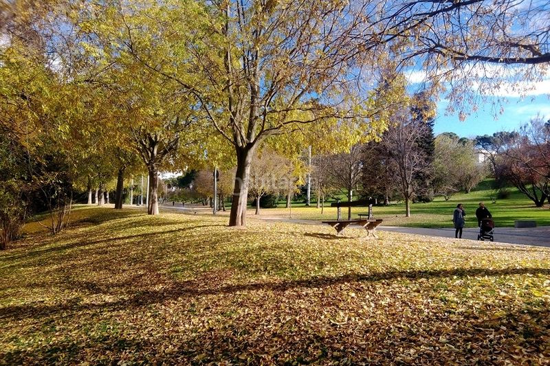 Foto f535030e-6791-4593-b020-a45800159a13. Pis amb calefacció a Argüelles Madrid