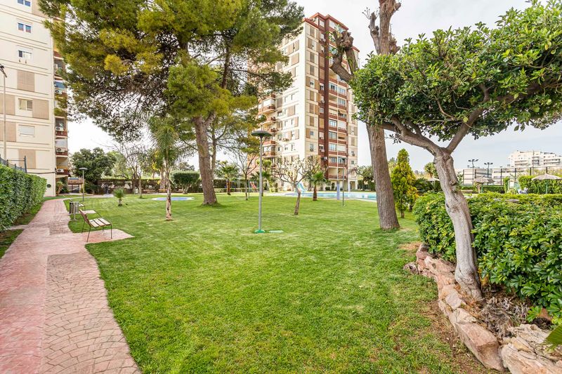 Foto 3e99f75d-d94e-4525-8d99-cfe3b304f55e. Pis amb calefacció piscina a Platja de la Pobla de Farnals Pobla de Farnals (la)