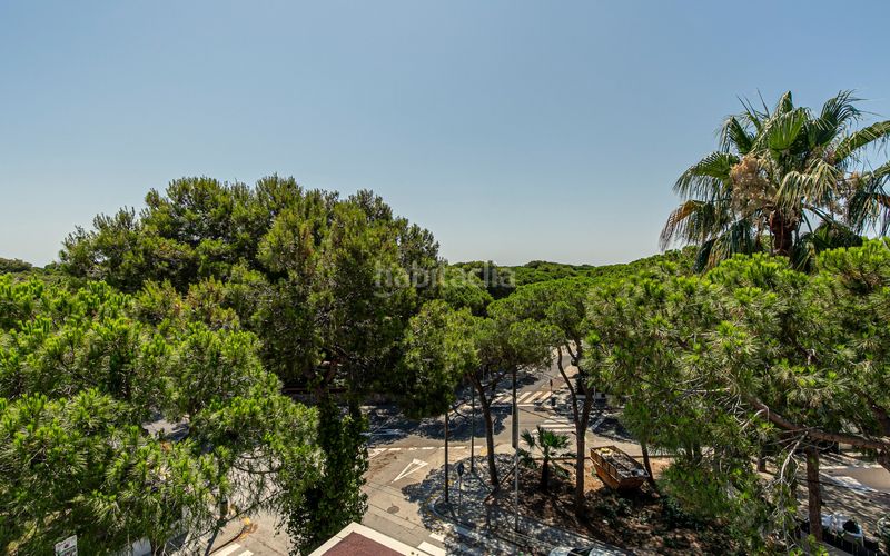 Foto d1a0b346-f0e2-40c3-b62a-601b0e33d783. Pis amb calefacció aparcament piscina a La Pineda Castelldefels