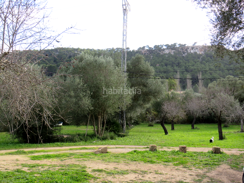 Foto 21dd3713-d33a-46c4-a9ae-7ed38ff38333. Haus mit heizung in Sant Elm Andratx