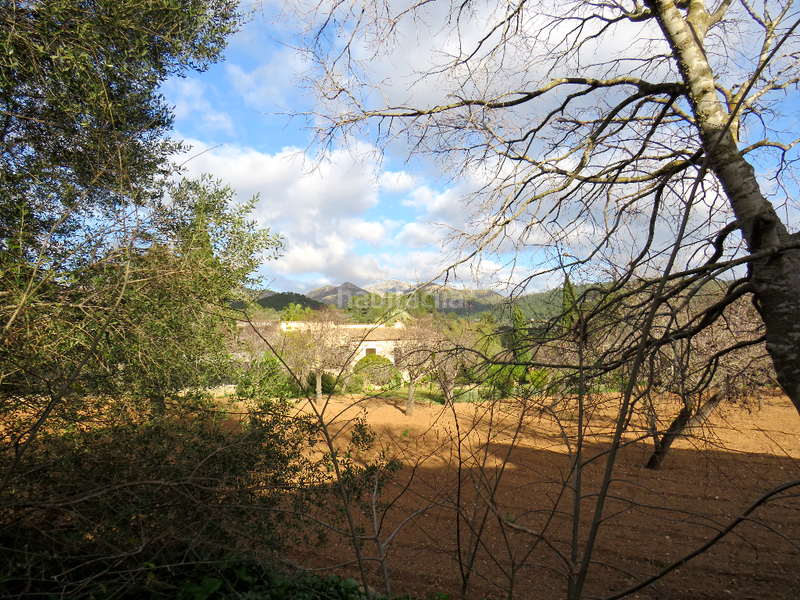 Foto 2b8cc6a7-43b2-41ad-b477-0808149451fa. Haus mit heizung in Sant Elm Andratx