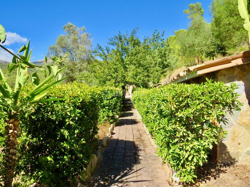 Foto a6705aff-3912-4111-8e1c-da76a1374f64. Country house in Andratx Andratx