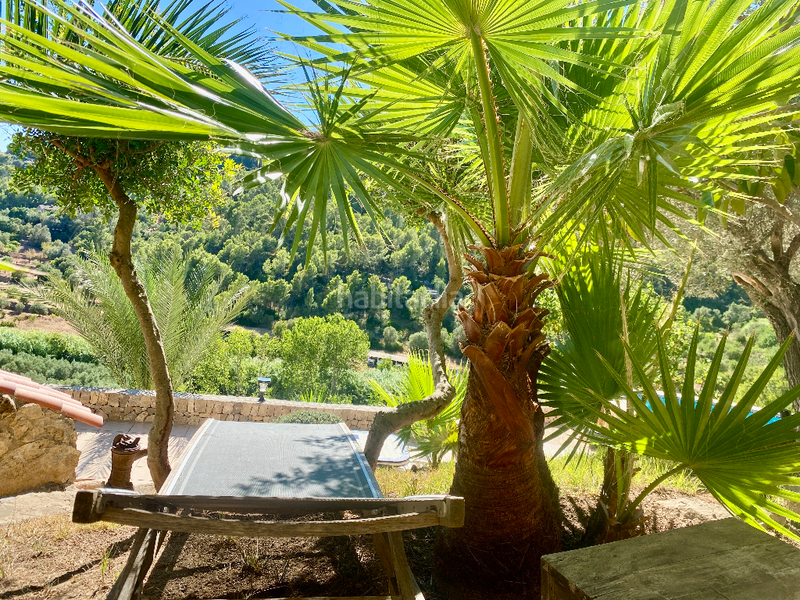 Foto 2d3a3aa3-2f1f-449a-81e4-15ddb2e5d3f1. Mas dans Andratx Andratx