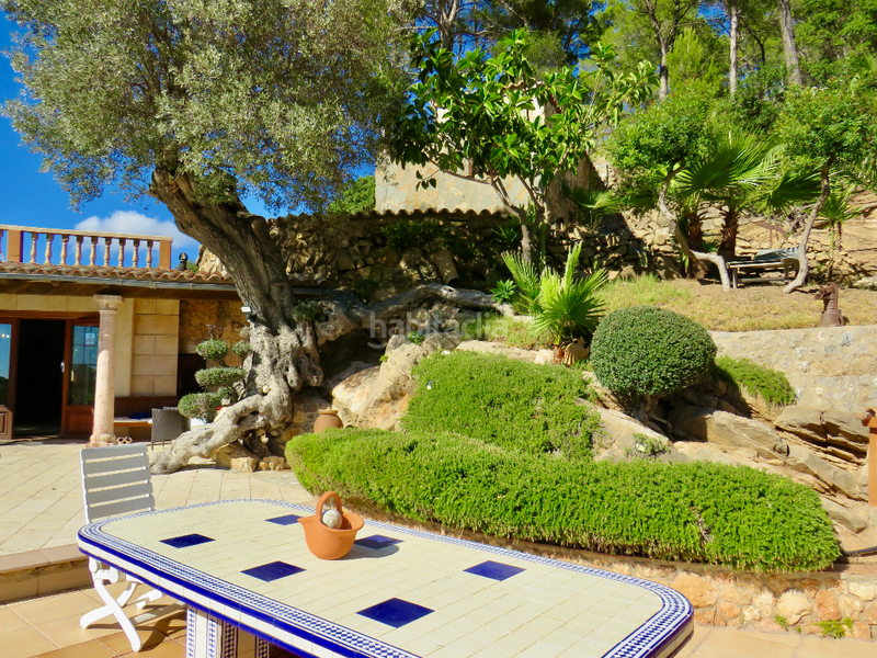 Foto 6c57d992-238b-4a4a-9b05-d3548651225f. Mas dans Andratx Andratx