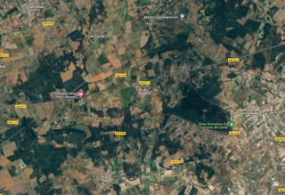 Residential Plot in Sencelles