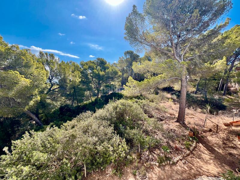 Foto c362296d-e9a7-4ce5-a657-d07f848dac5c. Apartament amb calefacció aparcament piscina a Sant Elm Andratx