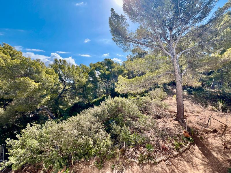 Foto e9da505c-4dbb-4691-8cf1-0a250c1b14e4. Apartment with heating parking pool in Sant Elm Andratx