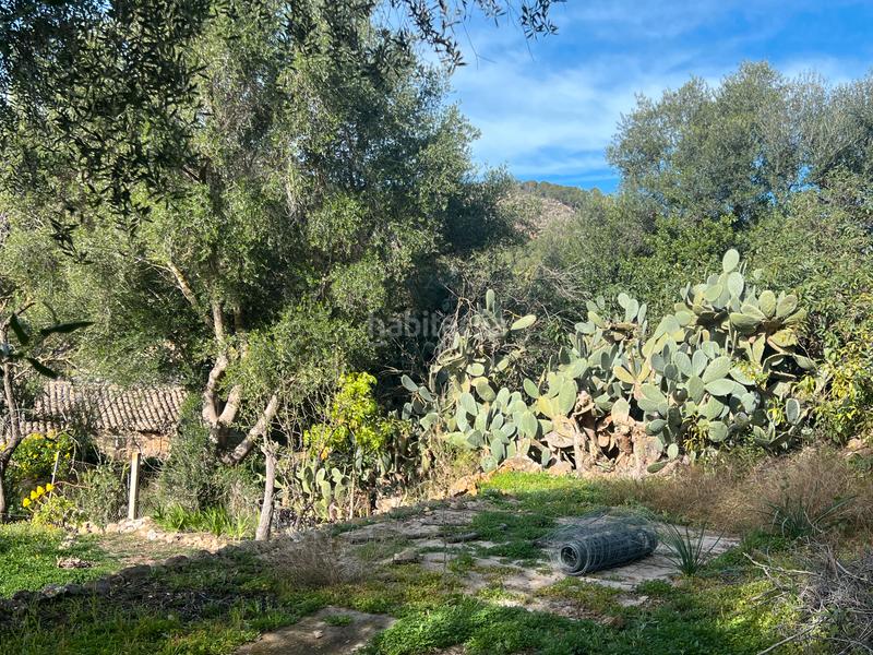 Foto 65989243-f872-4aa7-bad1-6d220d082fc8. Reihenhaus mit parking in Andratx Andratx