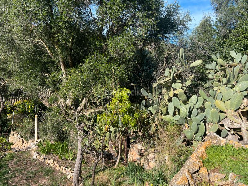 Foto e2dd3c1e-d937-4c98-8626-63693032a198. Semi detached house with parking in Andratx Andratx