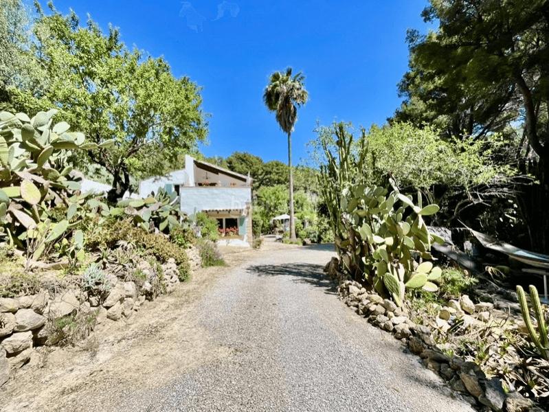 Foto e0a972d0-ff90-4358-97d4-e481d1ad7a3c. Country house with heating parking pool in Andratx Andratx