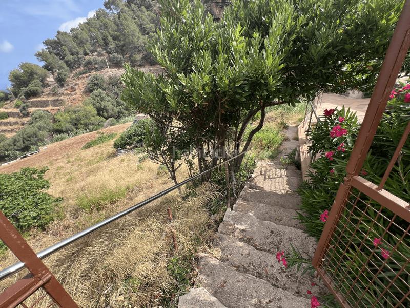 Foto be877552-3bcd-47f5-8f8b-710229e01b44. Country house with parking in Andratx Andratx