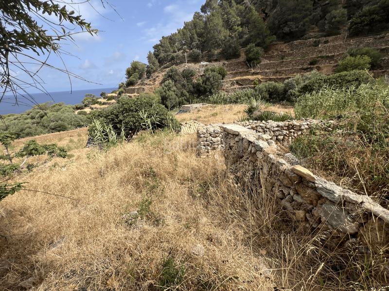 Foto c34c4914-f51a-4954-9a73-1ab9aaf1be28. Country house with parking in Andratx Andratx