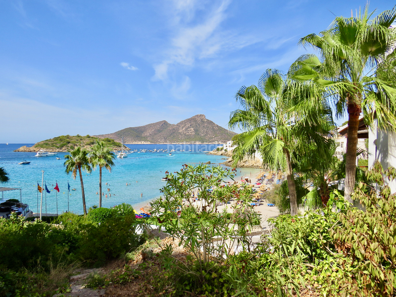 Foto 1d1a246a-d81e-48f1-8a59-bfcef2327542. Apartamento en Sant Elm Andratx