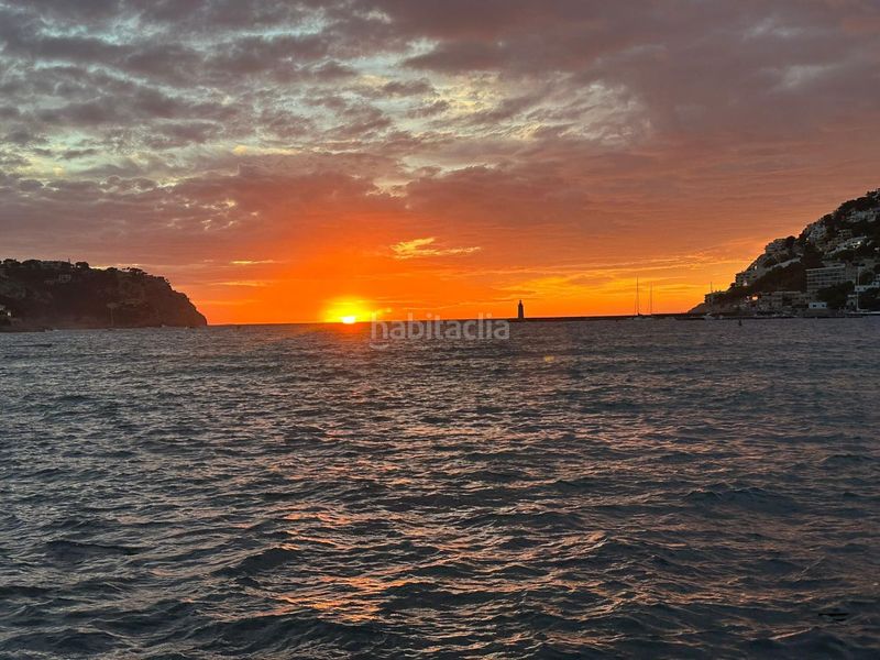 Foto db0c5d2b-4051-4c56-9c66-c7367dd1ebb3. Location maison jumelée avec parking piscine dans Andratx Andratx