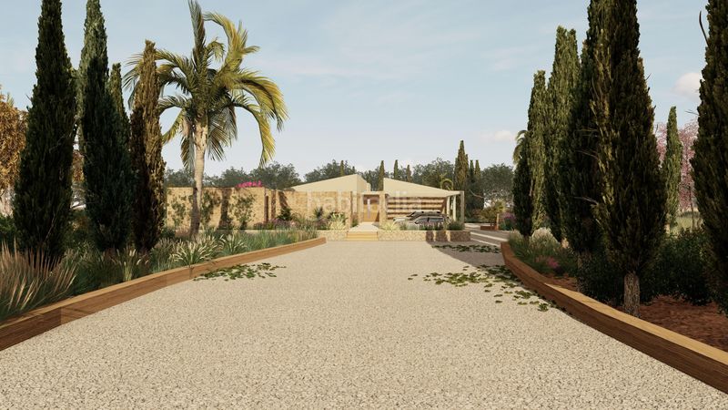 Foto 7db980c3-72ff-46b9-bfc0-4b5f69585a0d. Terreny residencial a Sa Pobla