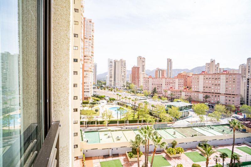 Foto 097ecfba-9892-4929-ad55-4b4562f4ff23. Apartament amb piscina a Juzgados - Plaza de Toros Benidorm
