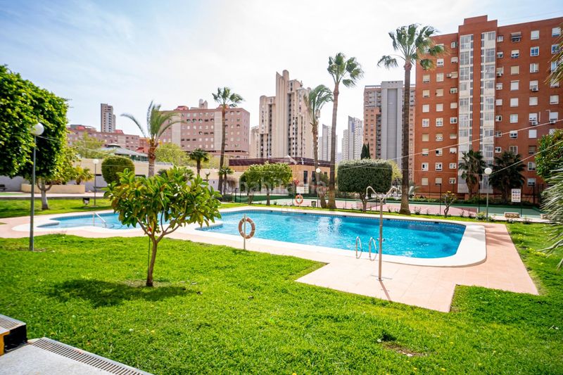 Foto 120e89ba-24d0-472e-9c49-02f172468f5f. Apartament amb piscina a Juzgados - Plaza de Toros Benidorm
