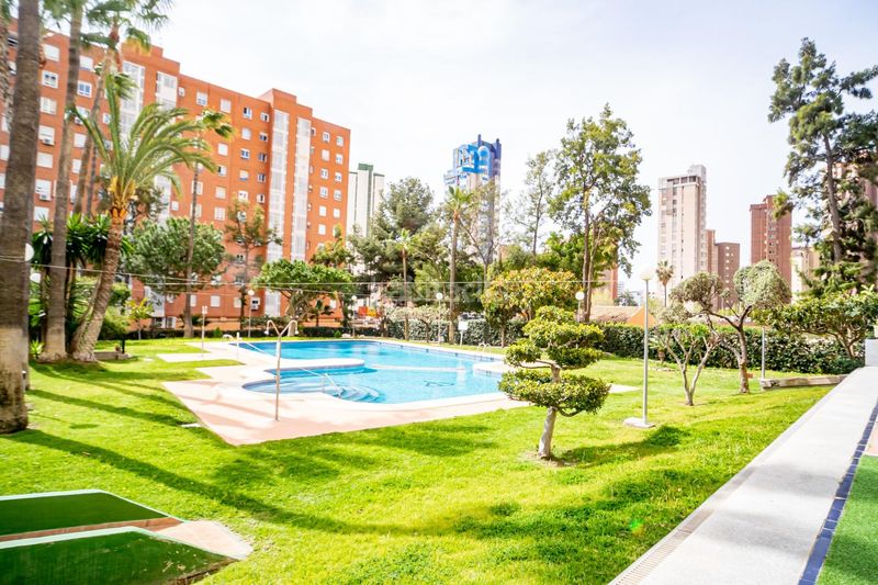 Foto 12d60834-fbf3-4e69-9aa0-e658272e09d0. Apartament amb piscina a Juzgados - Plaza de Toros Benidorm