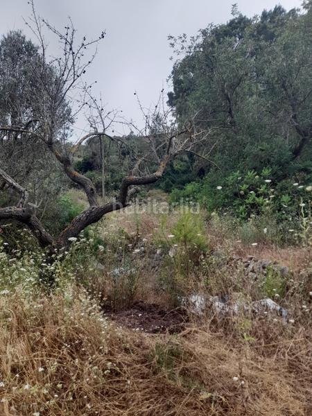 Foto 2e5ea0a5-d1cb-46d5-bf23-f6694fd2a4d6. Landgut in Guadalest