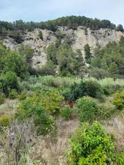 Finca rústica a Guadalest. Terreno rústico con árboles frutales