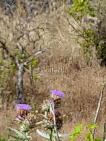 Foto a580cf4d-3f1e-4025-9627-5251a78cc906. Landgut in Guadalest
