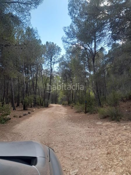 Foto 40316d9f-7ac1-4d85-b229-965ff9b2554e. Finca rústica a Xirles Polop