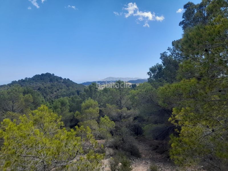 Foto 4f2a2105-1a09-466b-ad19-666c37c9ea5c. Finca rústica a Xirles Polop