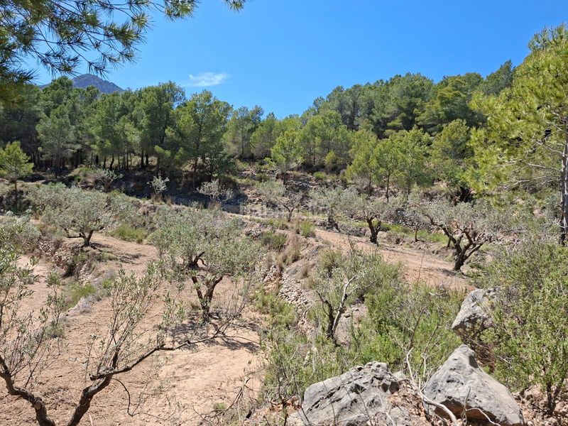 Foto 9b3d3227-19a6-4f63-affb-a68d3bcd7ff5. Finca rústica a Xirles Polop