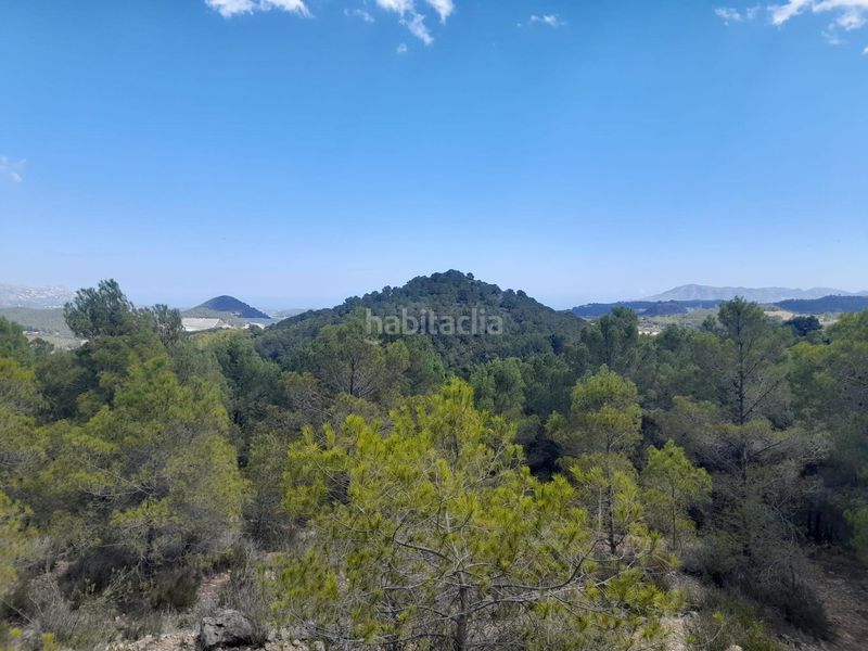 Foto a5e557e5-7825-43ac-a602-8ff852cd4376. Finca rústica a Xirles Polop