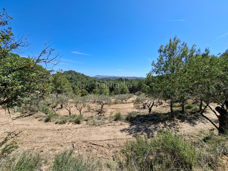 Foto bad73ff3-fedb-4bfb-a3cc-824da52f634e. Finca rústica a Xirles Polop