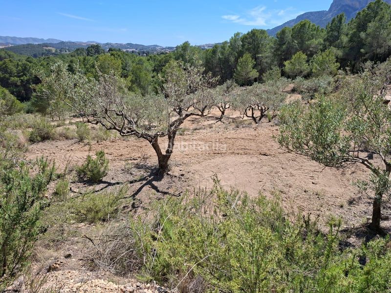 Foto e437f261-a54f-4e15-9f40-847a564d7861. Finca rústica a Xirles Polop