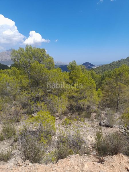 Foto ee39f102-5bd9-42d2-bbc6-8b3f72ff41eb. Finca rústica a Xirles Polop