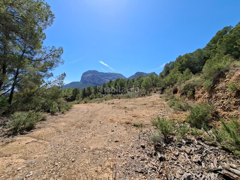 Foto f1212aae-d54a-4502-8054-ca5bfa285abf. Finca rústica a Xirles Polop