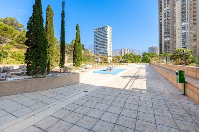 Foto a306bf9e-c6ef-4b54-a289-3a3f8873d7ad. Apartament amb aparcament piscina a Via Parque Benidorm