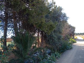 Country house  Camí caragolero