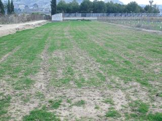 Fondo rustico in Lorquí
