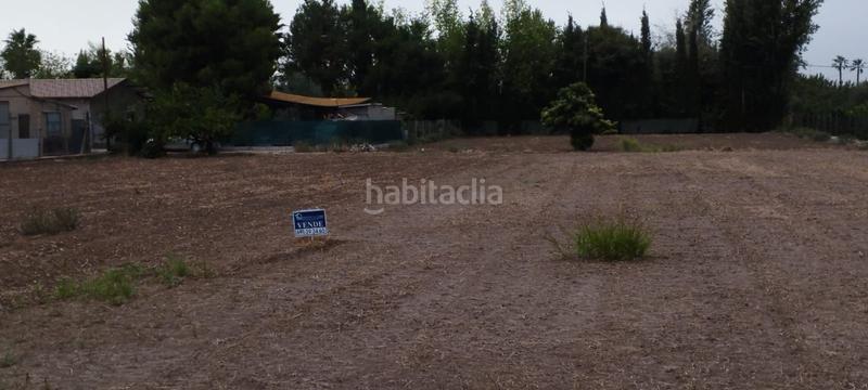Foto 5a497649-533a-4275-9123-e90fa29c536d. Finca rústica en carril ermita los alburquerques 42 en Murcia
