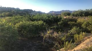 Rural plot in N/a