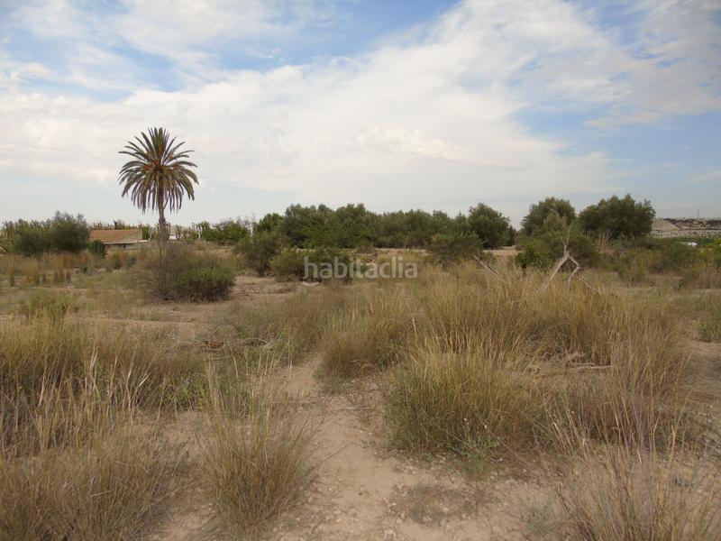 Foto 041a2205-ed6a-4cea-a886-ffe639924879. Terreno residencial en Ulea