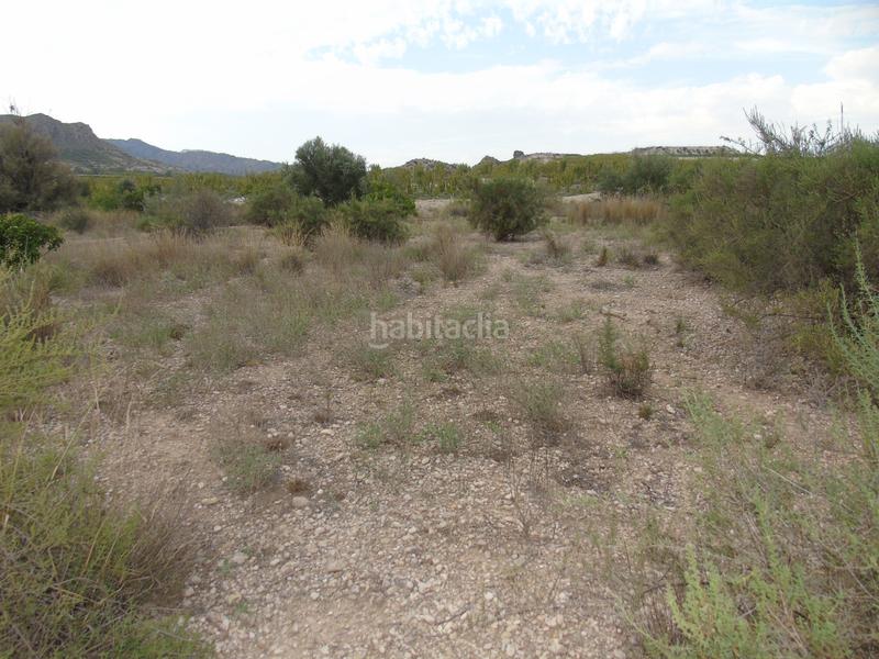 Foto 2e735044-cdd9-4a1d-bba3-0338afb9d357. Terreno residencial en Ulea