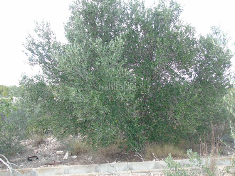 Foto 88c0fd9b-abf5-4160-b9c9-7edfcba9d520. Terreno residencial en Ulea
